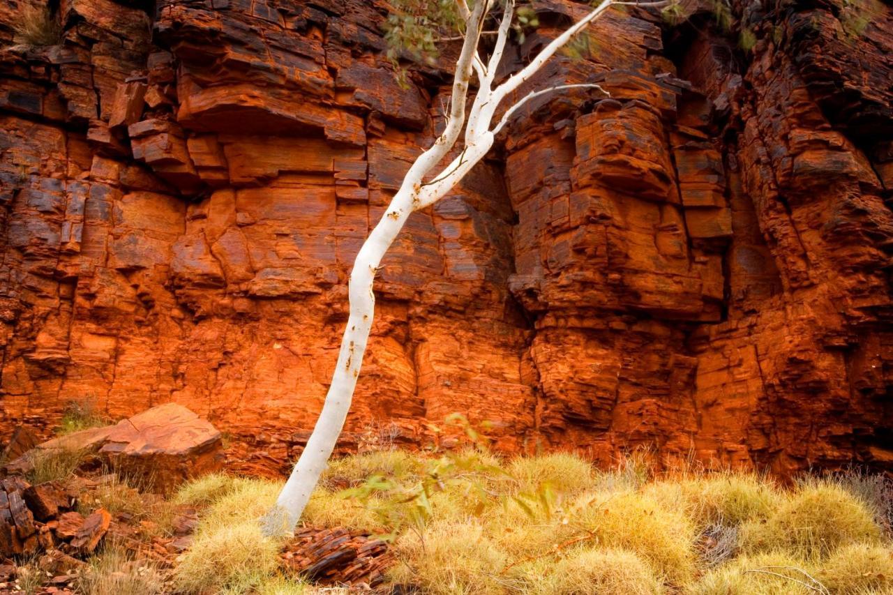 卡里基尼生态度假酒店 Karijini National Park 外观 照片